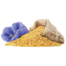 Load image into Gallery viewer, Organic Golden Flax Seeds